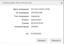 Opera Снимок_2024-11-04_145918_payeer.com.png