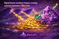 IMG_6663.jpeg