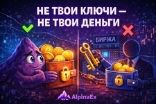 IMG_6685.jpeg